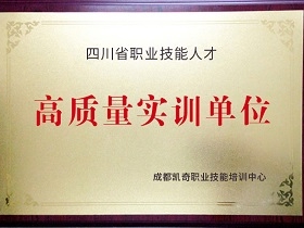 四川省职业技能人才高质量实训单位.